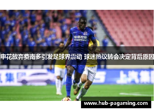 申花放弃费南多引发足球界震动 球迷热议转会决定背后原因 申花放弃费南多引发足球界震动 球迷热议转会决定背后原因