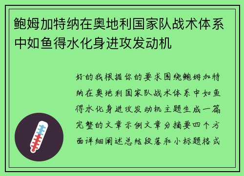鲍姆加特纳在奥地利国家队战术体系中如鱼得水化身进攻发动机 鲍姆加特纳在奥地利国家队战术体系中如鱼得水化身进攻发动机